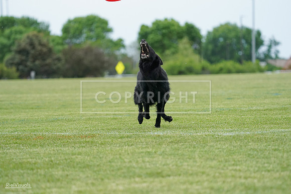 RielVisuals_20240525_164941_SJR05540