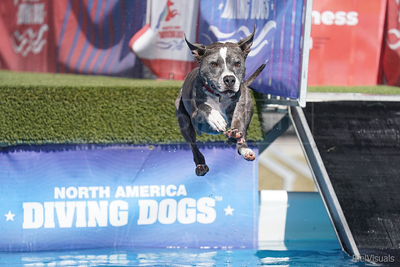 SJR05221