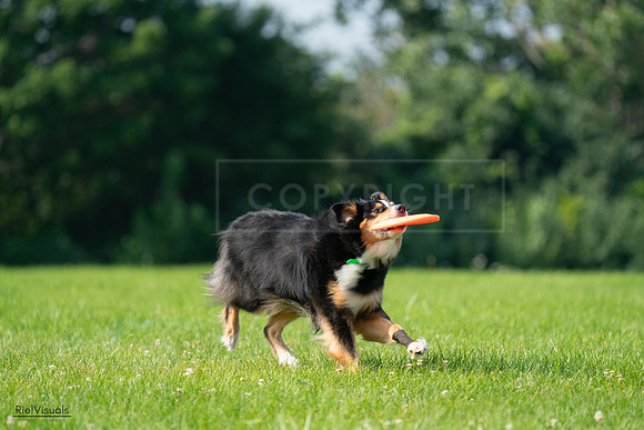 RielVisuals_20240728_100314_SJR07061