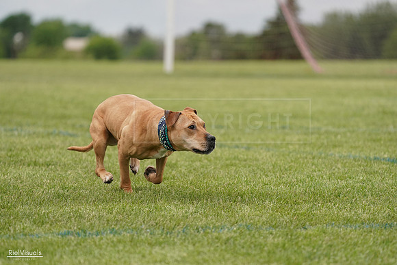 RielVisuals_20240526_135018_SJR09217
