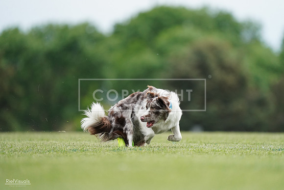 RielVisuals_20240525_161039_SJR03656