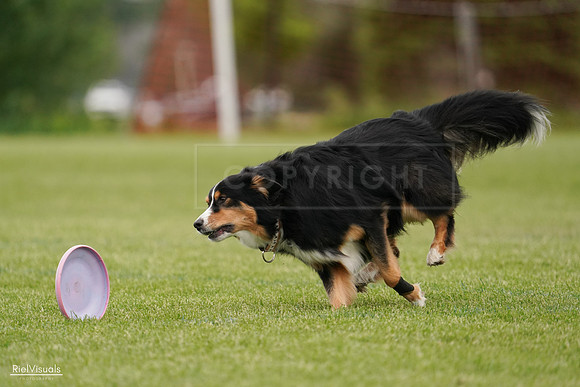 RielVisuals_20240526_135240_SJR09385