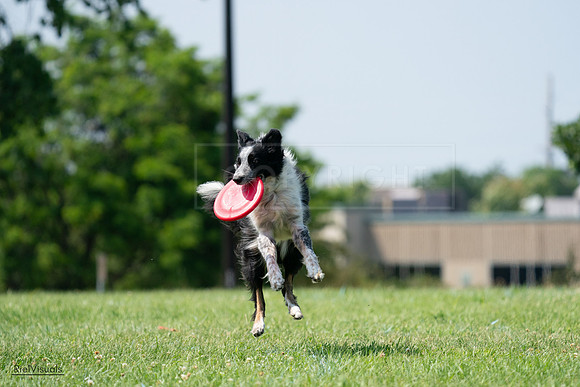 RielVisuals_20240728_145627_SJR09626