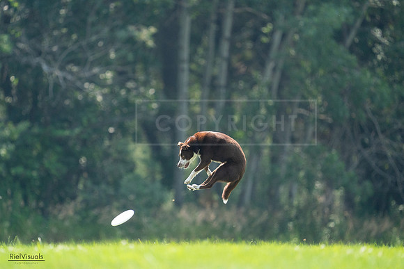 RielVisuals_20240727_122940_SJR05651