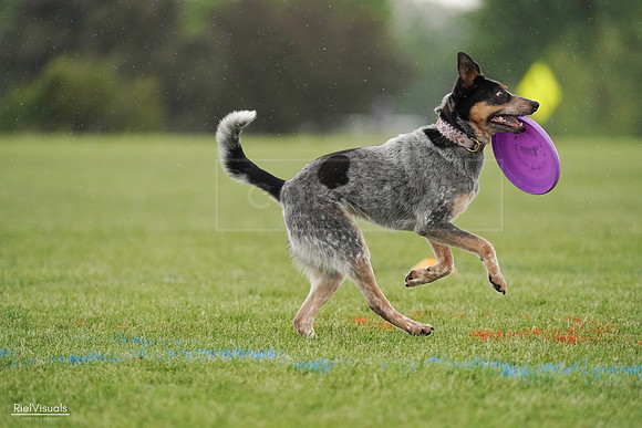 RielVisuals_20240526_094756_SJR01055