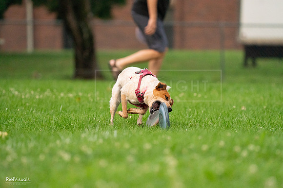 RielVisuals_20240722_201418_SJR03278