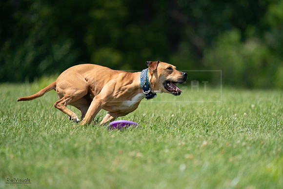 RielVisuals_20240728_142625_SJR08231