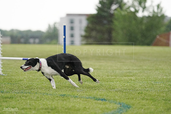 RielVisuals_20240526_093359_SJR00374