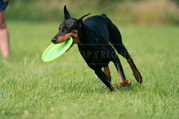 RielVisuals_20240728_103556_SJR08646