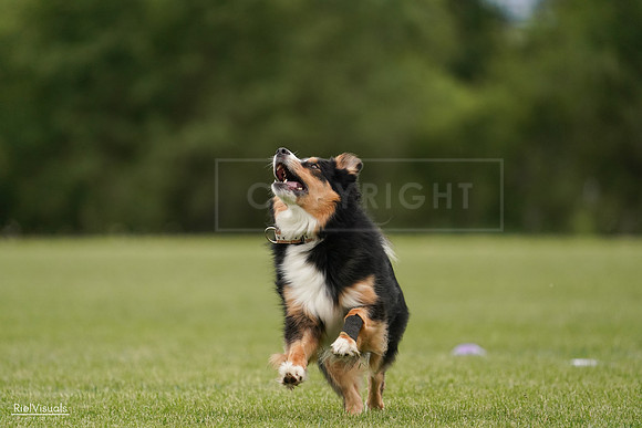 RielVisuals_20240526_135231_SJR09362