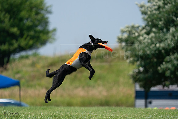 RielVisuals_20240727_134440_SJR08209