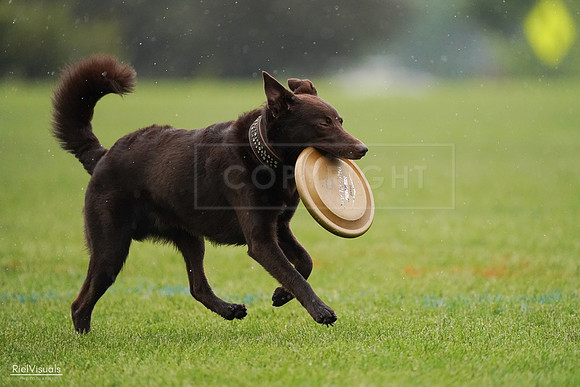 RielVisuals_20240527_100909_SJR09359