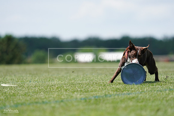 RielVisuals_20240525_121937_SJR09508