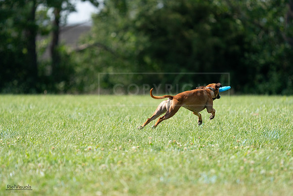 RielVisuals_20240728_150203_SJR09856