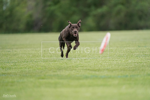 RielVisuals_20240525_162723_SJR04513