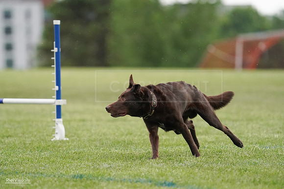 RielVisuals_20240526_090952_SJR09244
