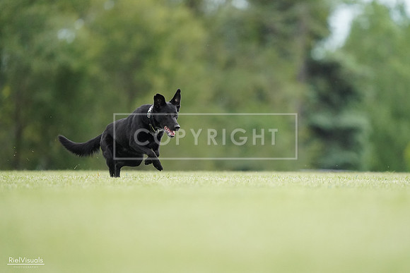 RielVisuals_20240525_160628_SJR03442