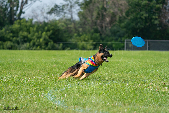 RielVisuals_20240728_104151_SJR08935