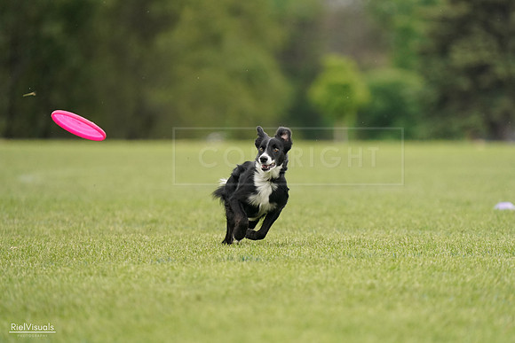 RielVisuals_20240527_132055_SJR09444
