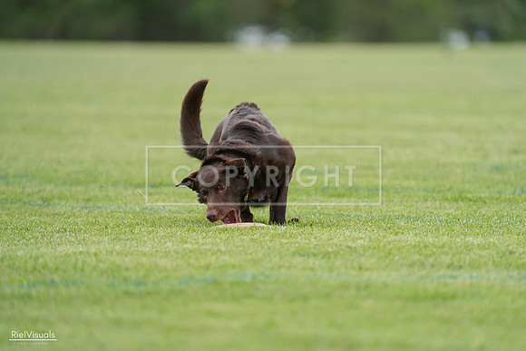 RielVisuals_20240525_162109_SJR04230
