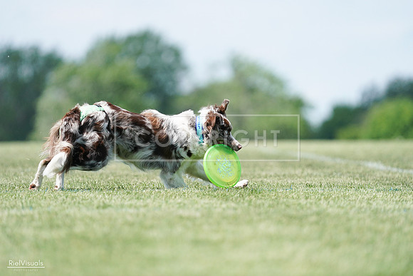 RielVisuals_20240525_120529_SJR08594