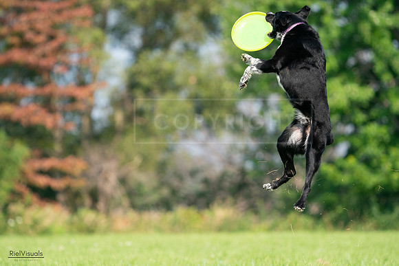RielVisuals_20240727_094441_SJR07461