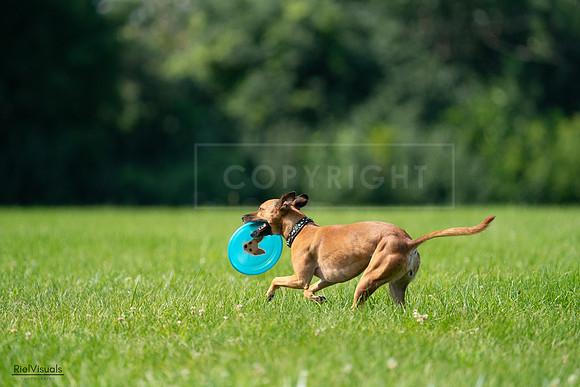 RielVisuals_20240728_102604_SJR08051