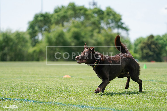 RielVisuals_20240525_120801_SJR08742