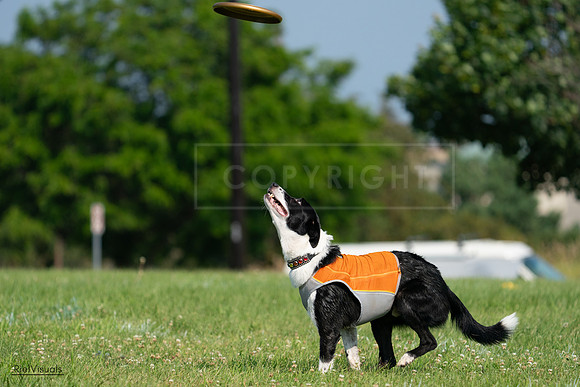 RielVisuals_20240728_101539_SJR07561