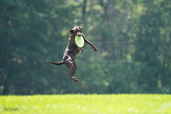 RielVisuals_20240727_123343_SJR05862