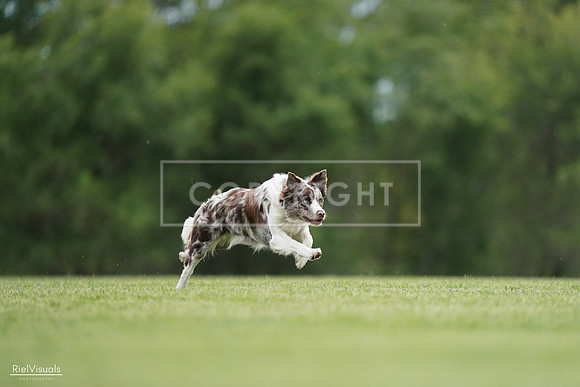 RielVisuals_20240525_161057_SJR03681