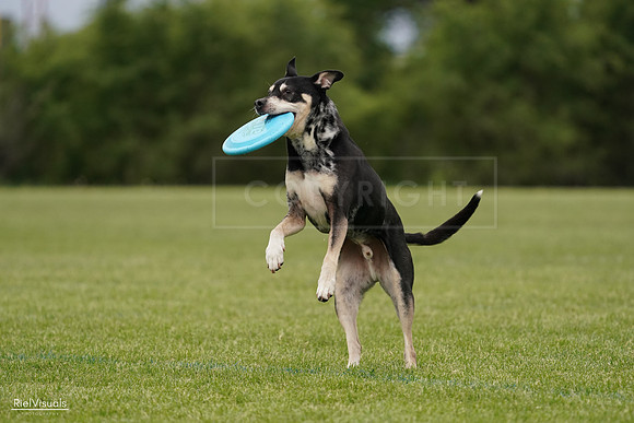 RielVisuals_20240526_134431_SJR08906