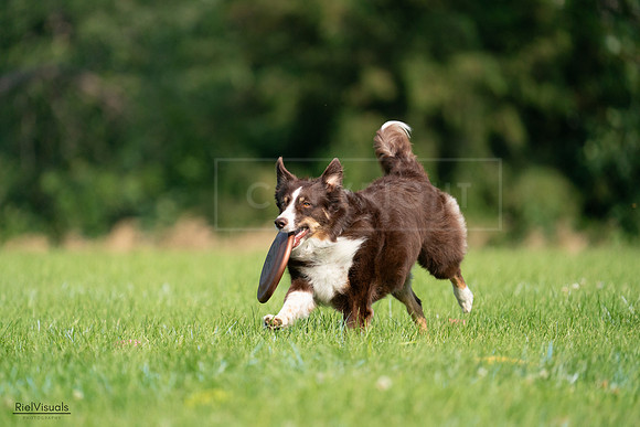 RielVisuals_20240727_095237_SJR07907