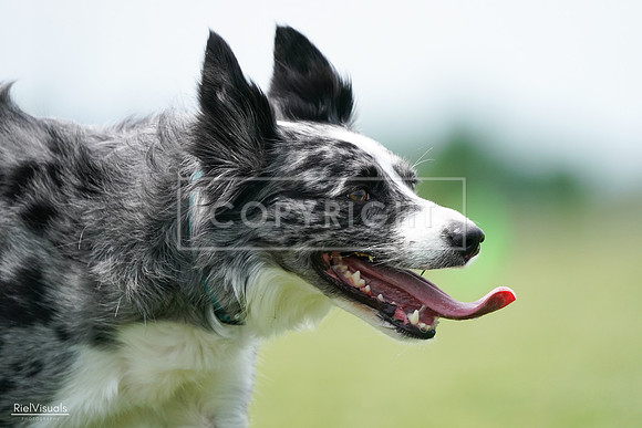 RielVisuals_20240525_124516_SJR01170