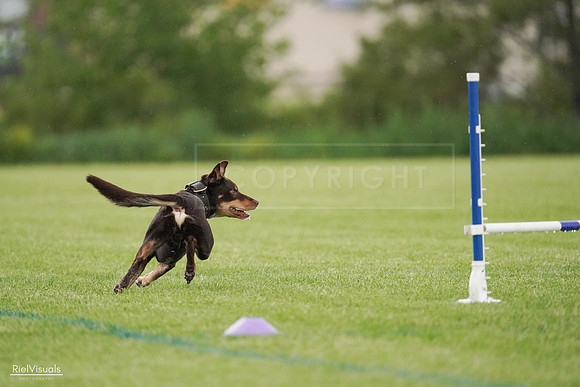 RielVisuals_20240526_095636_SJR01434