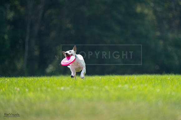 RielVisuals_20240727_120942_SJR04856
