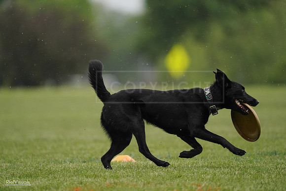 RielVisuals_20240526_092343_SJR09920