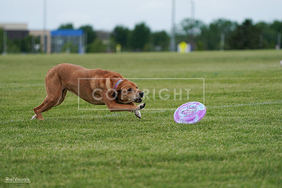 RielVisuals_20240525_161756_SJR03978
