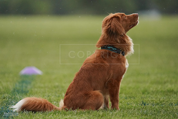 RielVisuals_20240526_093038_SJR00225