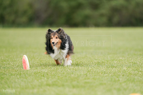 RielVisuals_20240527_140936_SJR01677