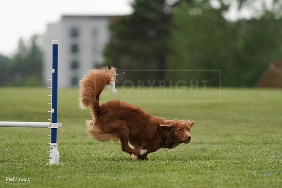RielVisuals_20240526_093040_SJR00229