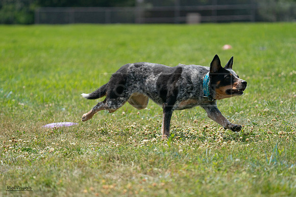RielVisuals_20240728_134458_SJR07067