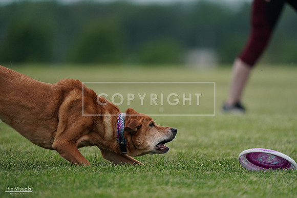 RielVisuals_20240525_161832_SJR04044