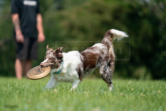 RielVisuals_20240727_115034_SJR04103