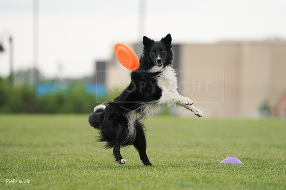 RielVisuals_20240526_095518_SJR01388