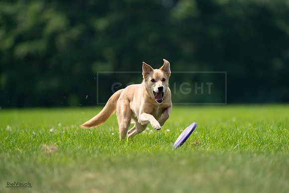 RielVisuals_20240727_120046_SJR04514