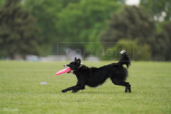 RielVisuals_20240526_095310_SJR01271