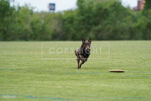 RielVisuals_20240525_162108_SJR04208