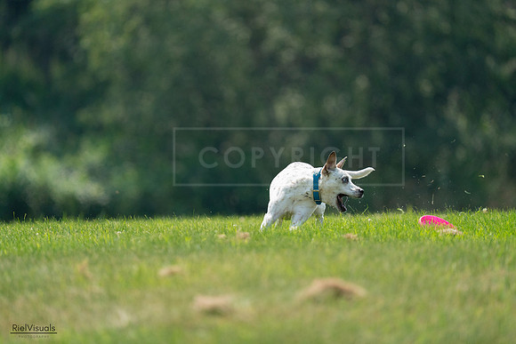 RielVisuals_20240727_120931_SJR04847