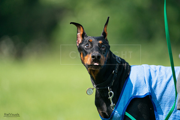 RielVisuals_20240728_103415_SJR08528